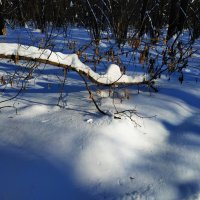 Накануне весны :: Андрей Лукьянов Накануне весны :: Андрей Лукьянов