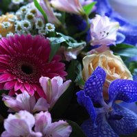 Цветочный этюд. :: Марина Леонидовна