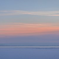 **** :: Елизавета .