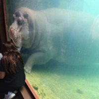 Обоюдный интерес :: Галина Ильясова