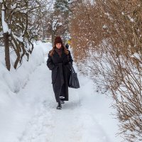 Идущая по февралю. :: Анатолий. Chesnavik.