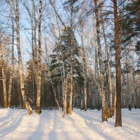 В городском парке :: Галина Нестратова
