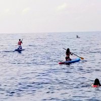 Адлер :: Serega SchütZ