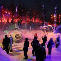 Ночь в Таинственном лесу :: Ольга 