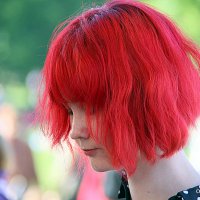 девичья головка :: Олег Лукьянов