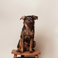 Портрет в студии :: Андрей Л. В. Портрет в студии :: Андрей Л. В.