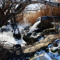 Источник :: Анатолий Чикчирный