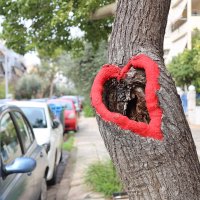 Сердечко. :: Оля Богданович