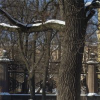 под дубом :: sv.kaschuk 