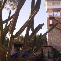 115 (134) :: CLOSE WAYS ALL