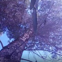 115 (138) :: CLOSE WAYS ALL