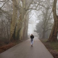 Домой :: Юрий. Шмаков