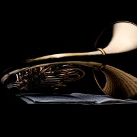 Валторна :: Sergey 