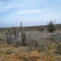 Пустынный пейзаж. :: unix (Илья Утропов)