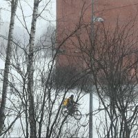 За окном - февраль... :: Наталья Герасимова