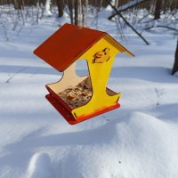 * * * :: Андрей Лукьянов