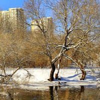 Зима в Минске :: Игорь Сычёв