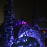 В Таинственном лесу :: Ольга 