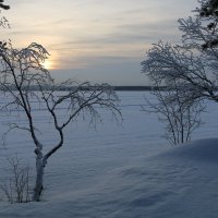 Пинозеро :: Ольга 