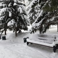 Под   снежным покрывалом . Парк. :: Мила Бовкун