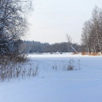 Природа в январе. :: Милешкин Владимир Алексеевич 