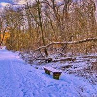 Прогулки в зимнем парке :: Андрей K. Прогулки в зимнем парке :: Андрей K.