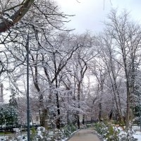 Зимний бульваре Ленина :: Валентин Семчишин Зимний бульваре Ленина :: Валентин Семчишин