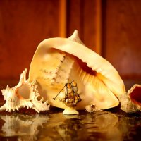 Натюрморт :: Андрей Л. В.