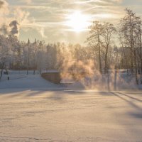 Морозный пейзаж в Дворцовом парке Гатчины :: Дарья Меркулова