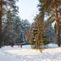В городском парке :: Галина Нестратова