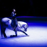 ЦИРК - Мой город Ижевск :: Владимир Максимов