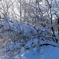 Снег, снежок... :: Рита Симонова Снег, снежок... :: Рита Симонова