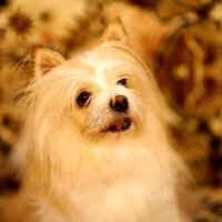 M :: Андрей Л. В. M :: Андрей Л. В.