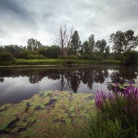 хмурое утро :: Антон Лихач