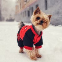 Майкл :: Сергей В