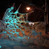 Паутина :: Анастасия Софронова