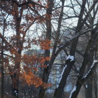 Катькин сад зимой :: sv.kaschuk 