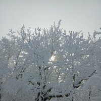 Последний день зимы :: Екатерина Филипенко