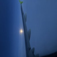 Полет :: Марина Панькина