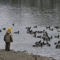 На Комсомольском озере в Нальчике :: Мариша 