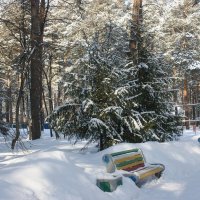 В Новосибирске сегодня - 28! :: Галина Нестратова