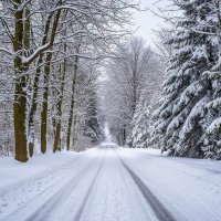 Полюбуемся на уходящую зиму ... :: Ravile 