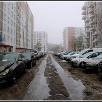 Зима уша :: Aleksandr Gal