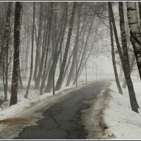 *** :: Aleksandr Gal