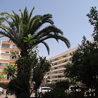 Барселона. :: Владимир Драгунский