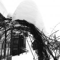 Мечты о ч/б Лейке 22. :: Михаил Елочкин Мечты о ч/б Лейке 22. :: Михаил Елочкин