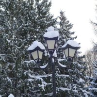 Зимние картинки :: Рита Симонова Зимние картинки :: Рита Симонова