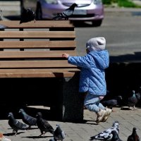 Весна... потеплело... :: Николай Саржанов Весна... потеплело... :: Николай Саржанов