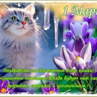 1 Марта - День Кошек и Котиков ! :: Валентина Надсон 1 Марта - День Кошек и Котиков ! :: Валентина Надсон