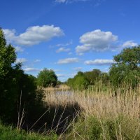 Весна. :: Виктор Весна. :: Виктор